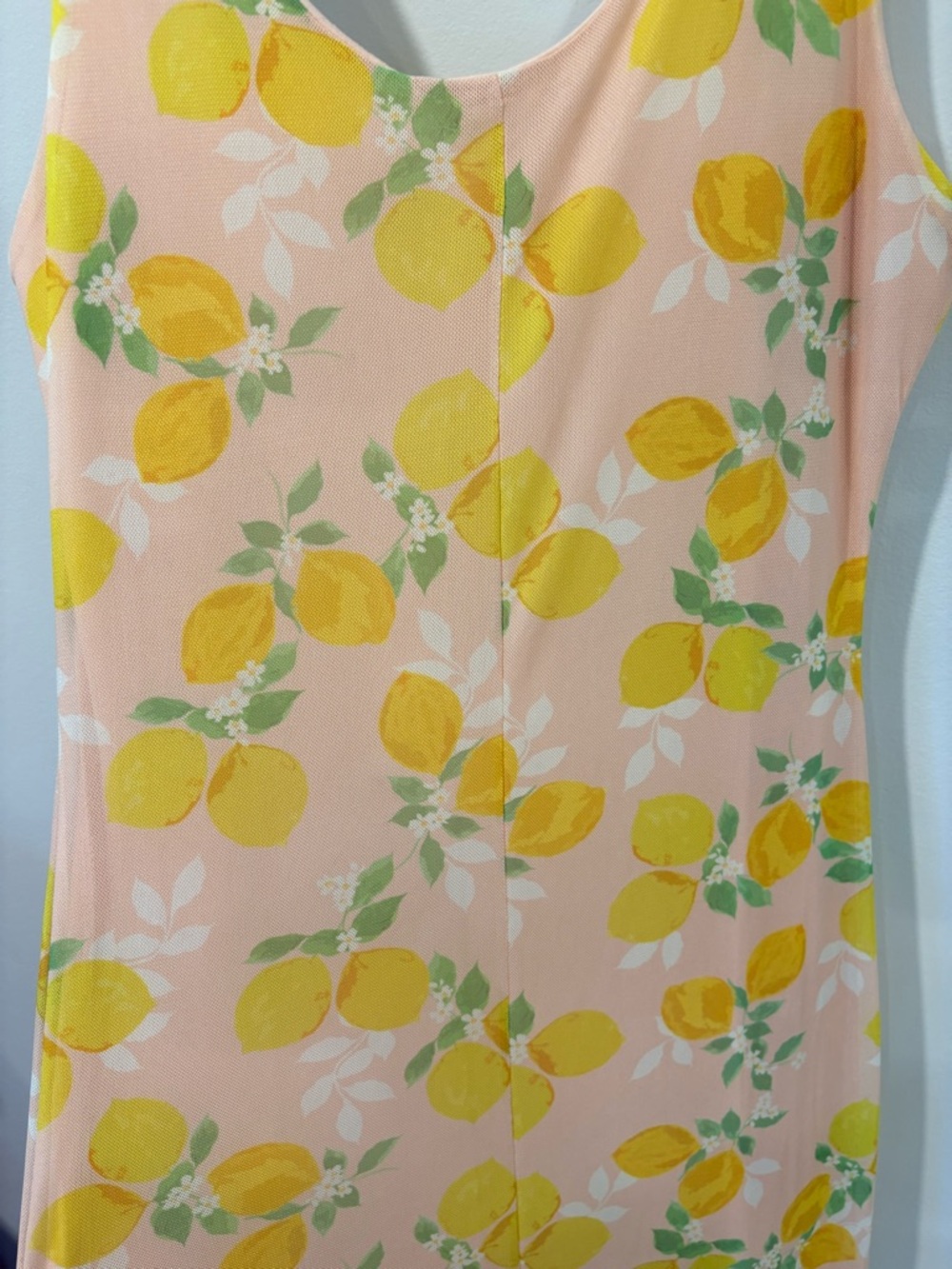 See You Monday Lemon Print Mesh Maxi Dress | Peach Citrus Slip Dress 🍋 - Picture 5 of 7